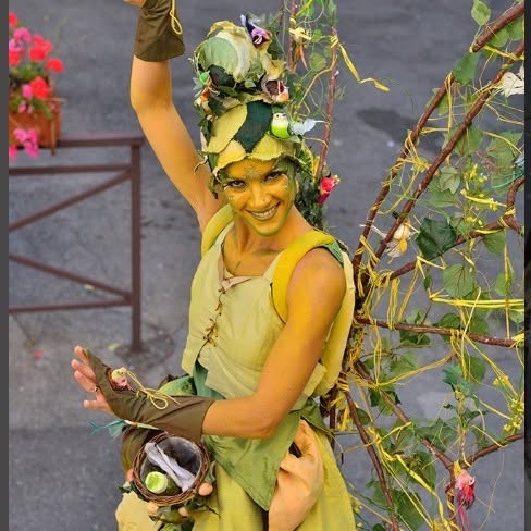 Fées des quatre saisons